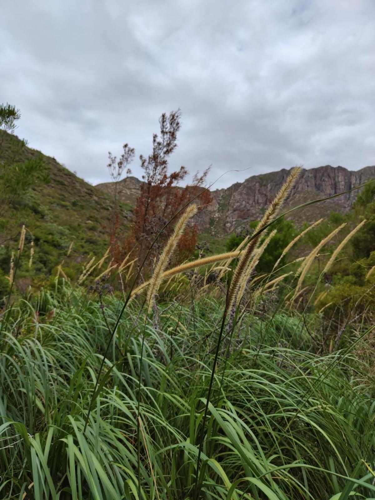 Apartmán Roodekloof Montagu Exteriér fotografie