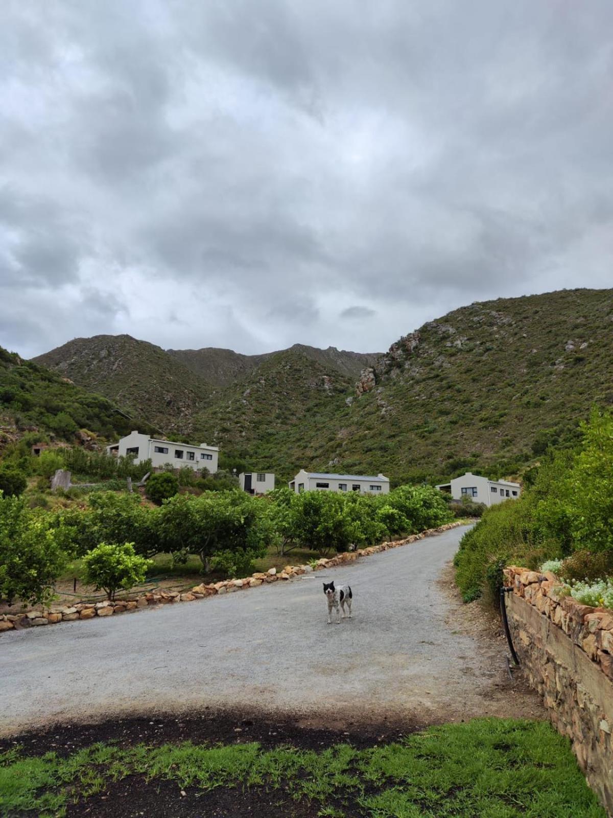 Apartmán Roodekloof Montagu Exteriér fotografie